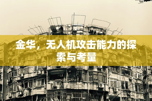 金华，无人机攻击能力的探索与考量