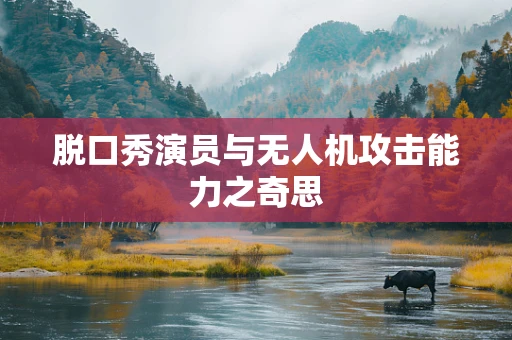 脱口秀演员与无人机攻击能力之奇思
