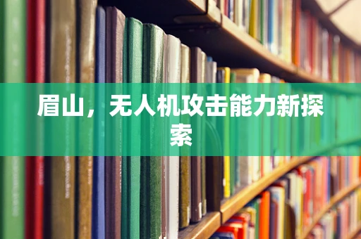 眉山，无人机攻击能力新探索