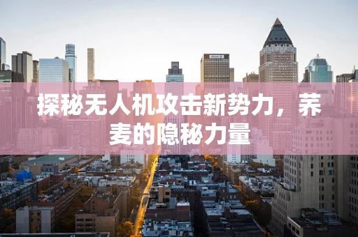 探秘无人机攻击新势力，荞麦的隐秘力量