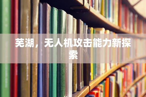 芜湖，无人机攻击能力新探索