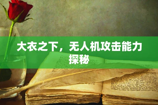 大衣之下，无人机攻击能力探秘