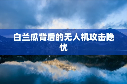 白兰瓜背后的无人机攻击隐忧