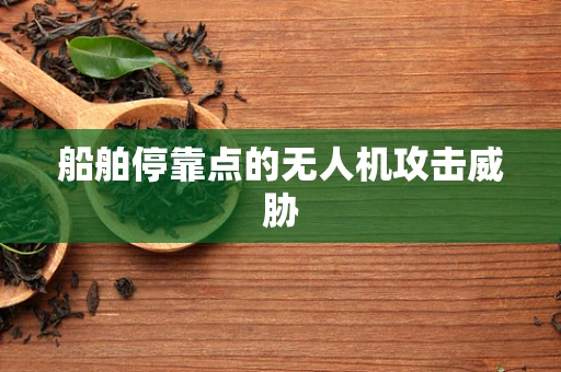 船舶停靠点的无人机攻击威胁
