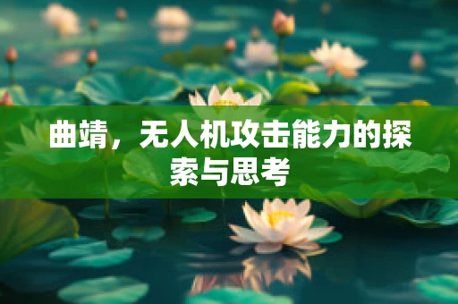 曲靖，无人机攻击能力的探索与思考