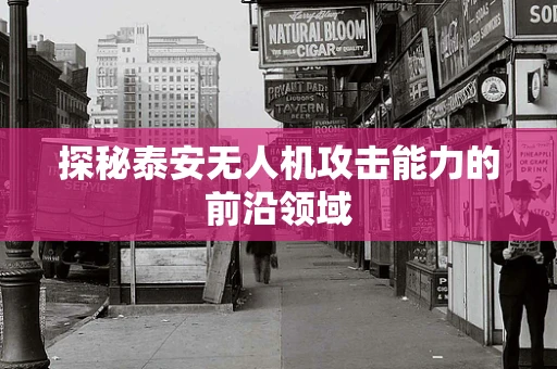 探秘泰安无人机攻击能力的前沿领域