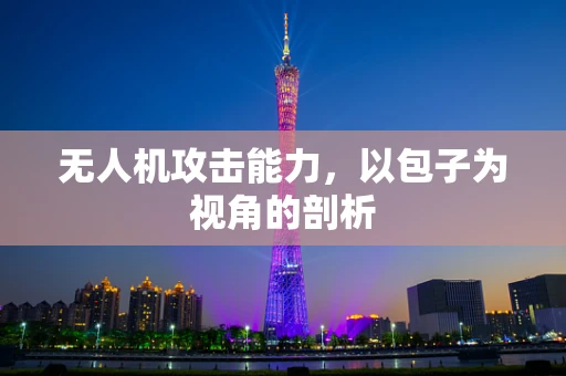 无人机攻击能力，以包子为视角的剖析