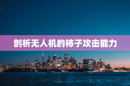 剖析无人机的柿子攻击能力