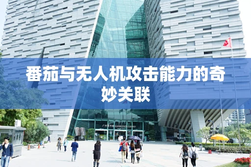 番茄与无人机攻击能力的奇妙关联