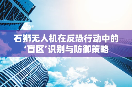 石狮无人机在反恐行动中的‘盲区’识别与防御策略