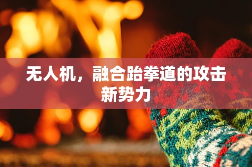 无人机，融合跆拳道的攻击新势力