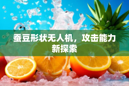 蚕豆形状无人机，攻击能力新探索