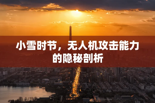 小雪时节，无人机攻击能力的隐秘剖析
