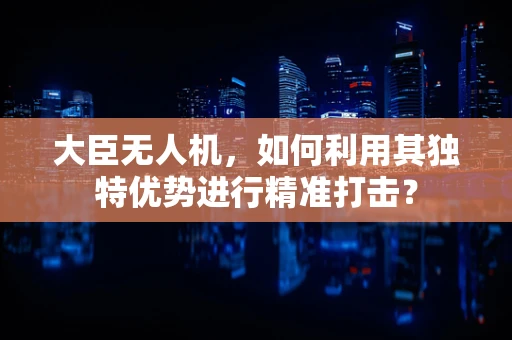 大臣无人机，如何利用其独特优势进行精准打击？