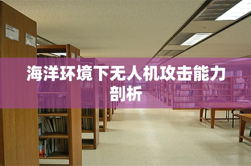 海洋环境下无人机攻击能力剖析