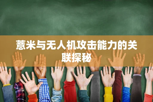 薏米与无人机攻击能力的关联探秘