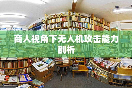 商人视角下无人机攻击能力剖析