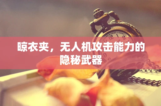 晾衣夹，无人机攻击能力的隐秘武器