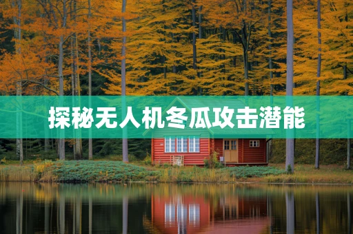 探秘无人机冬瓜攻击潜能