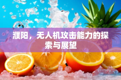 濮阳，无人机攻击能力的探索与展望