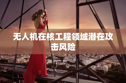 无人机在核工程领域潜在攻击风险
