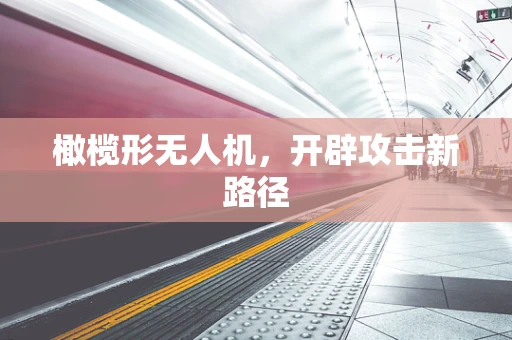 橄榄形无人机，开辟攻击新路径
