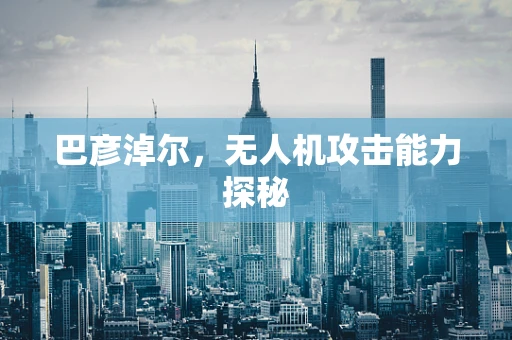 巴彦淖尔，无人机攻击能力探秘