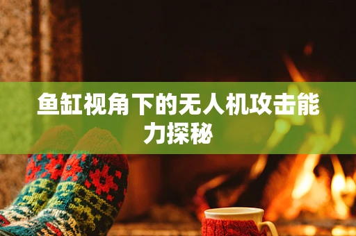 鱼缸视角下的无人机攻击能力探秘