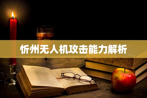 忻州无人机攻击能力解析