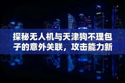 探秘无人机与天津狗不理包子的意外关联，攻击能力新视角
