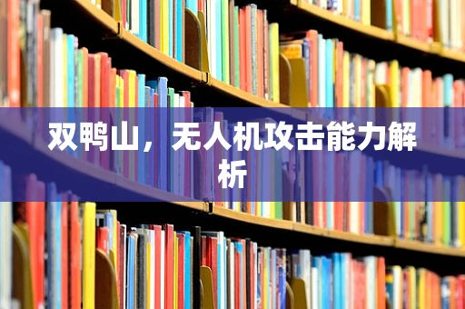 双鸭山，无人机攻击能力解析
