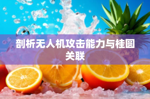 剖析无人机攻击能力与桂圆关联