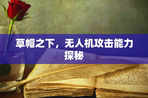 草帽之下，无人机攻击能力探秘