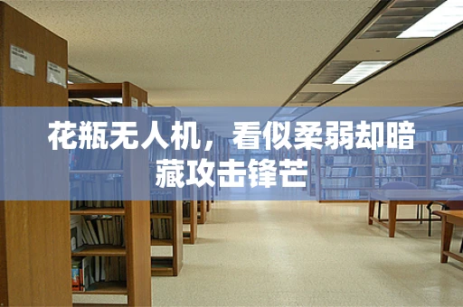 花瓶无人机，看似柔弱却暗藏攻击锋芒
