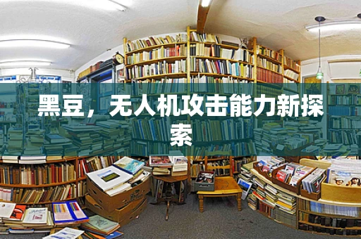 黑豆，无人机攻击能力新探索