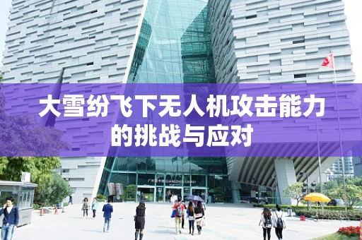 大雪纷飞下无人机攻击能力的挑战与应对