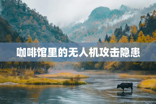 咖啡馆里的无人机攻击隐患