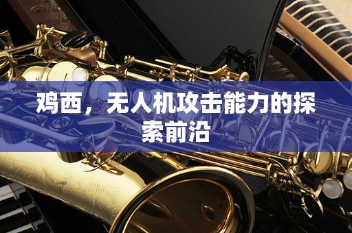 鸡西，无人机攻击能力的探索前沿