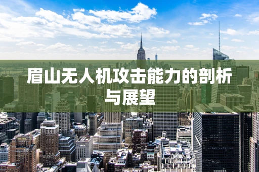 眉山无人机攻击能力的剖析与展望