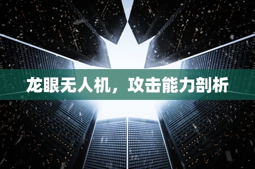 龙眼无人机，攻击能力剖析