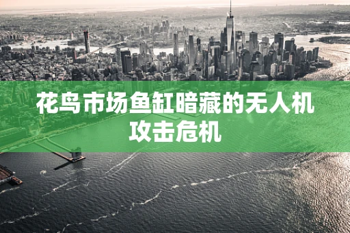 花鸟市场鱼缸暗藏的无人机攻击危机