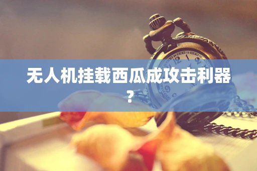 无人机挂载西瓜成攻击利器？
