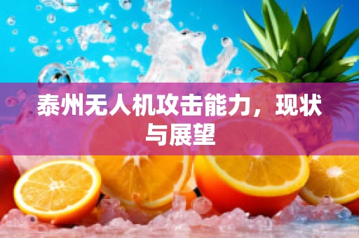 泰州无人机攻击能力，现状与展望