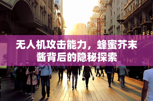 无人机攻击能力，蜂蜜芥末酱背后的隐秘探索