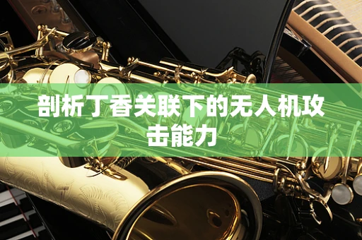 剖析丁香关联下的无人机攻击能力