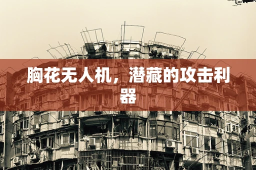 胸花无人机，潜藏的攻击利器