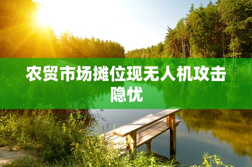农贸市场摊位现无人机攻击隐忧