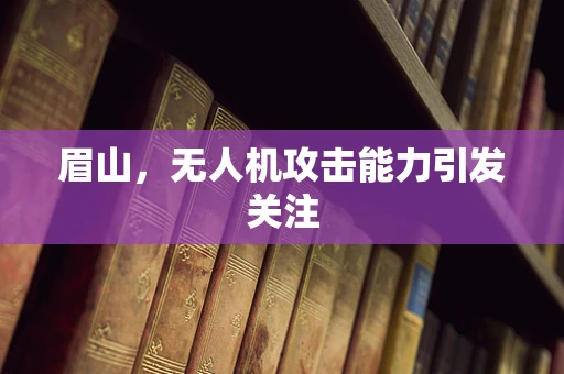 眉山，无人机攻击能力引发关注