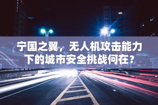 宁国之翼，无人机攻击能力下的城市安全挑战何在？