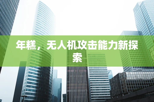 年糕，无人机攻击能力新探索